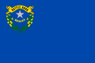 Flag_of_Nevada.svg